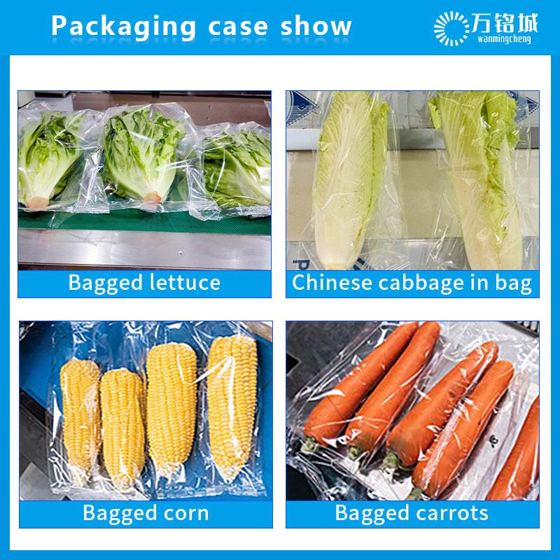 Multi Purpose Pillow Type Fresh Vegetable Packaging Machine