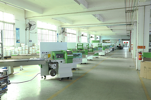 Flow packaging machine factory real shot